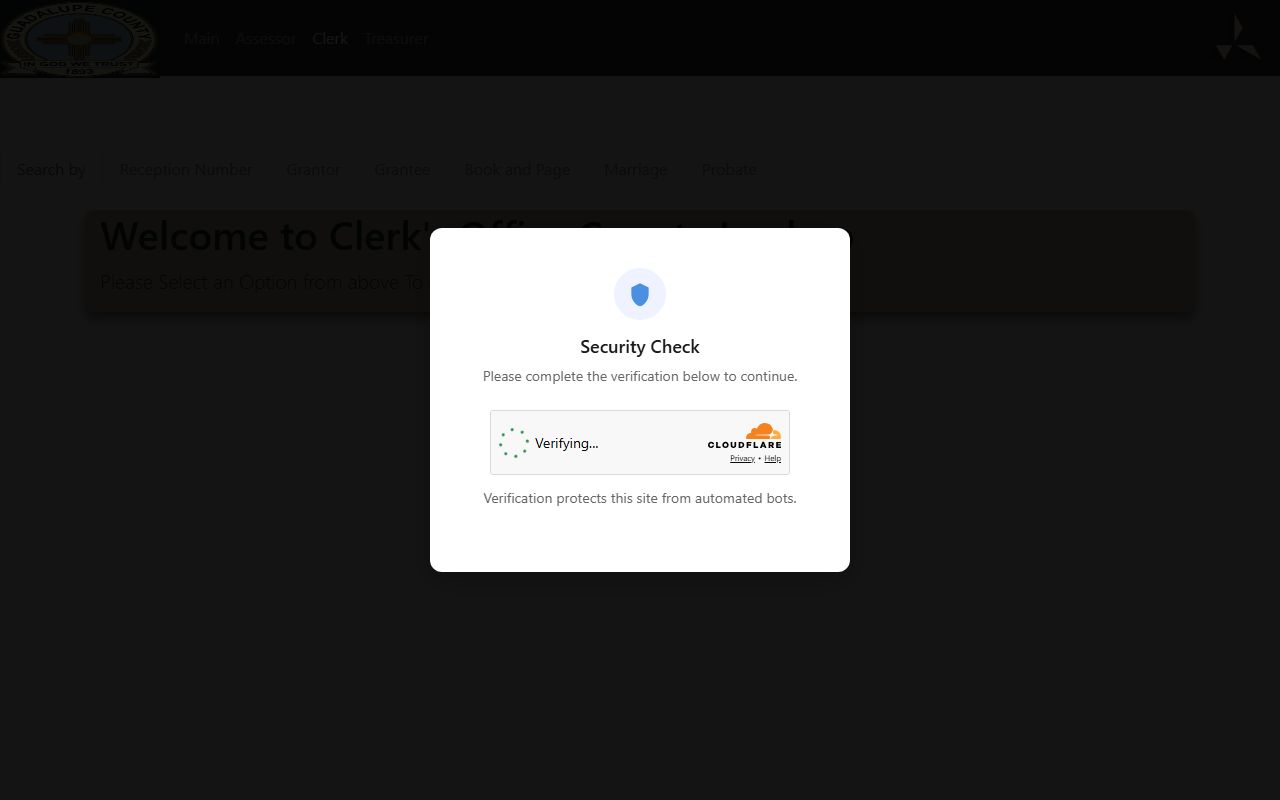 Guadalupe County Clerk records portal fields