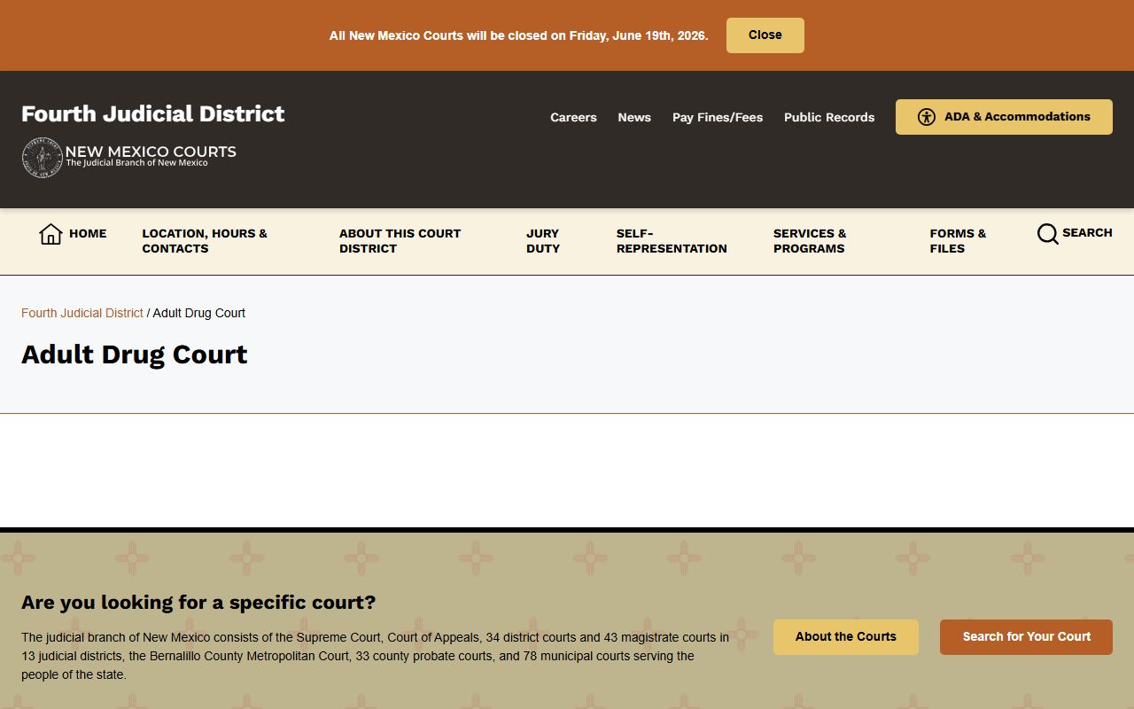Guadalupe County court charges Adult Drug Court forms page