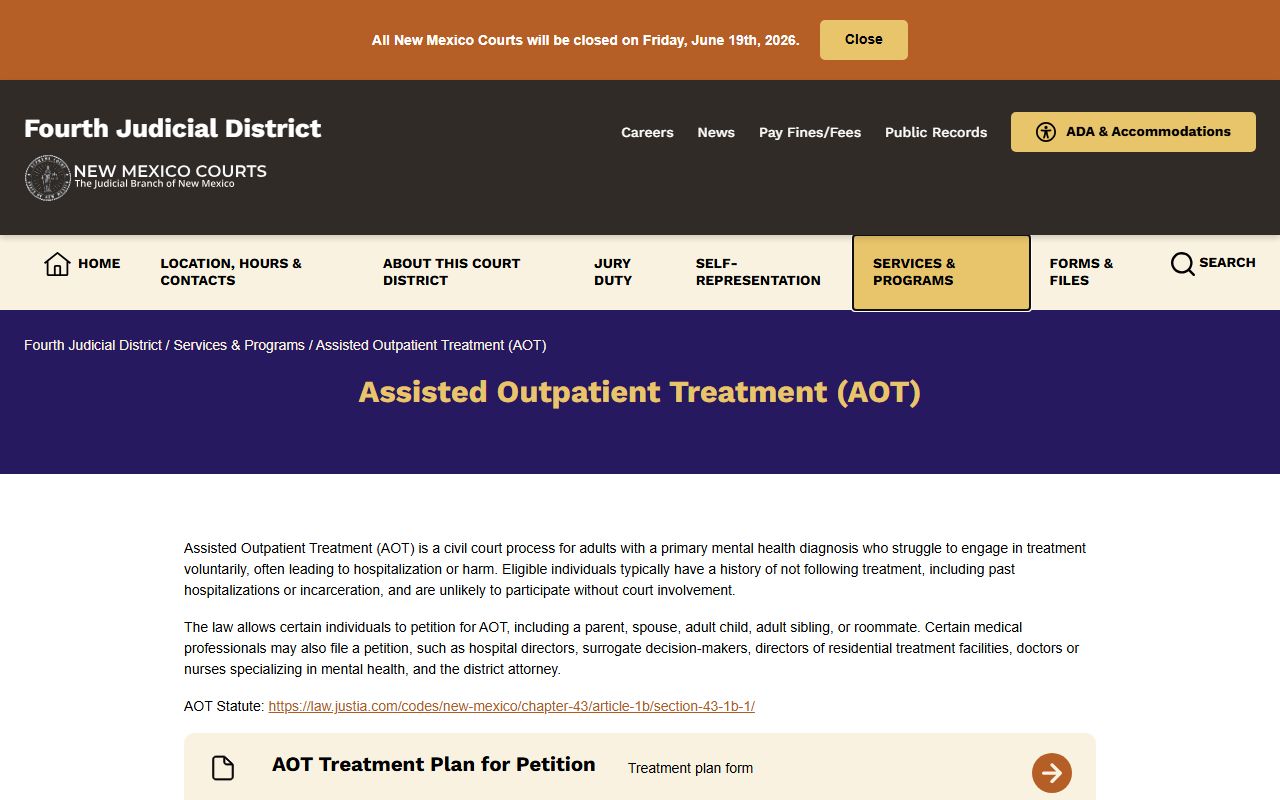 Guadalupe County arrest records and court charges Assisted Outpatient Treatment page